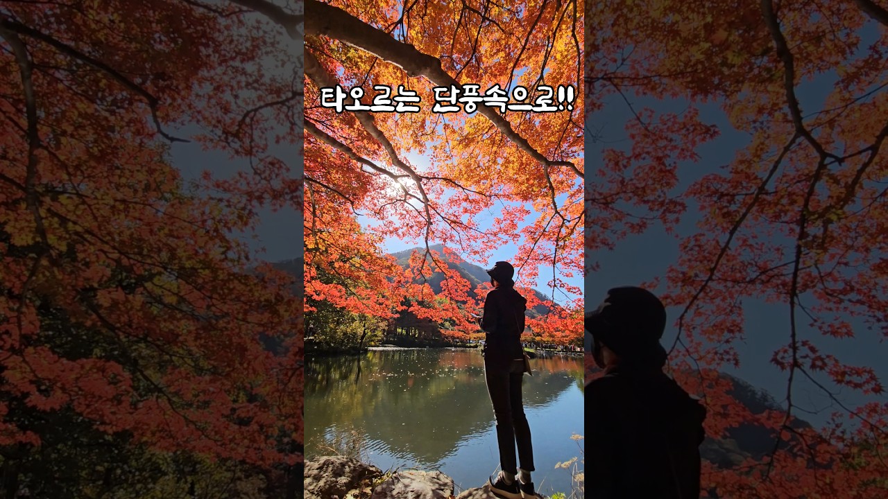 Момент в храме Пэкянса, знаменитом своими молодыми кленовыми листьями 