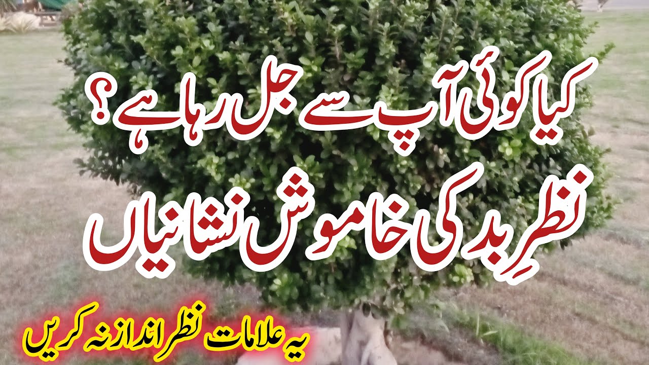 Signs Someone Is Jealous of You | Evil Eye Symptoms | Our Naimat Family