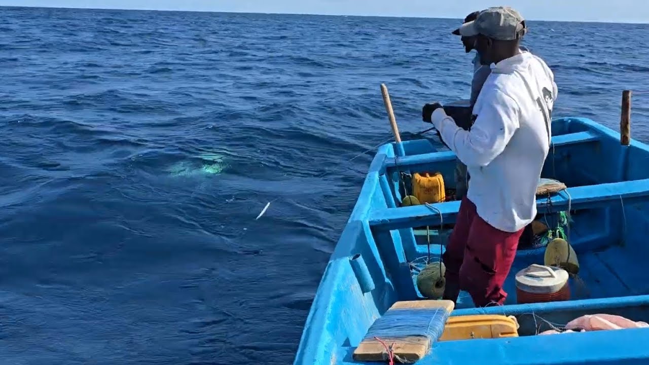 Fishing catching skills handline fishing amazing fishing in Indian ocean sea 