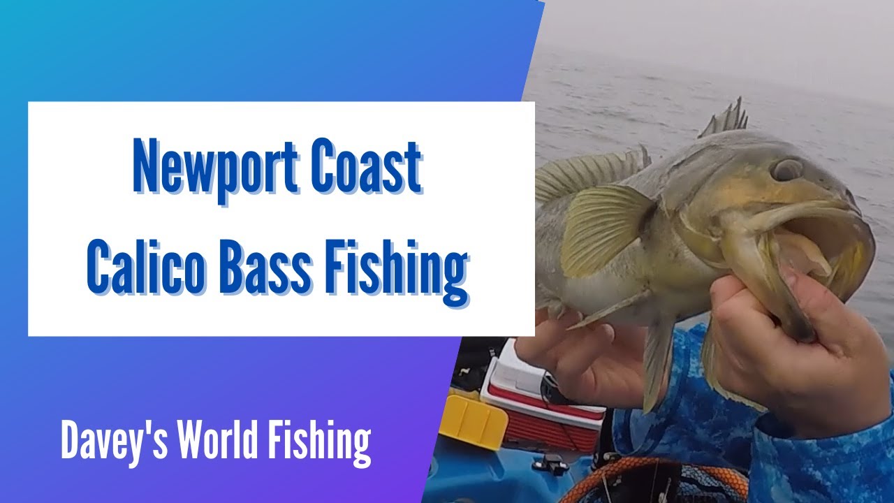 Kayak Fishing the Newport Coast | Calico Bass Action