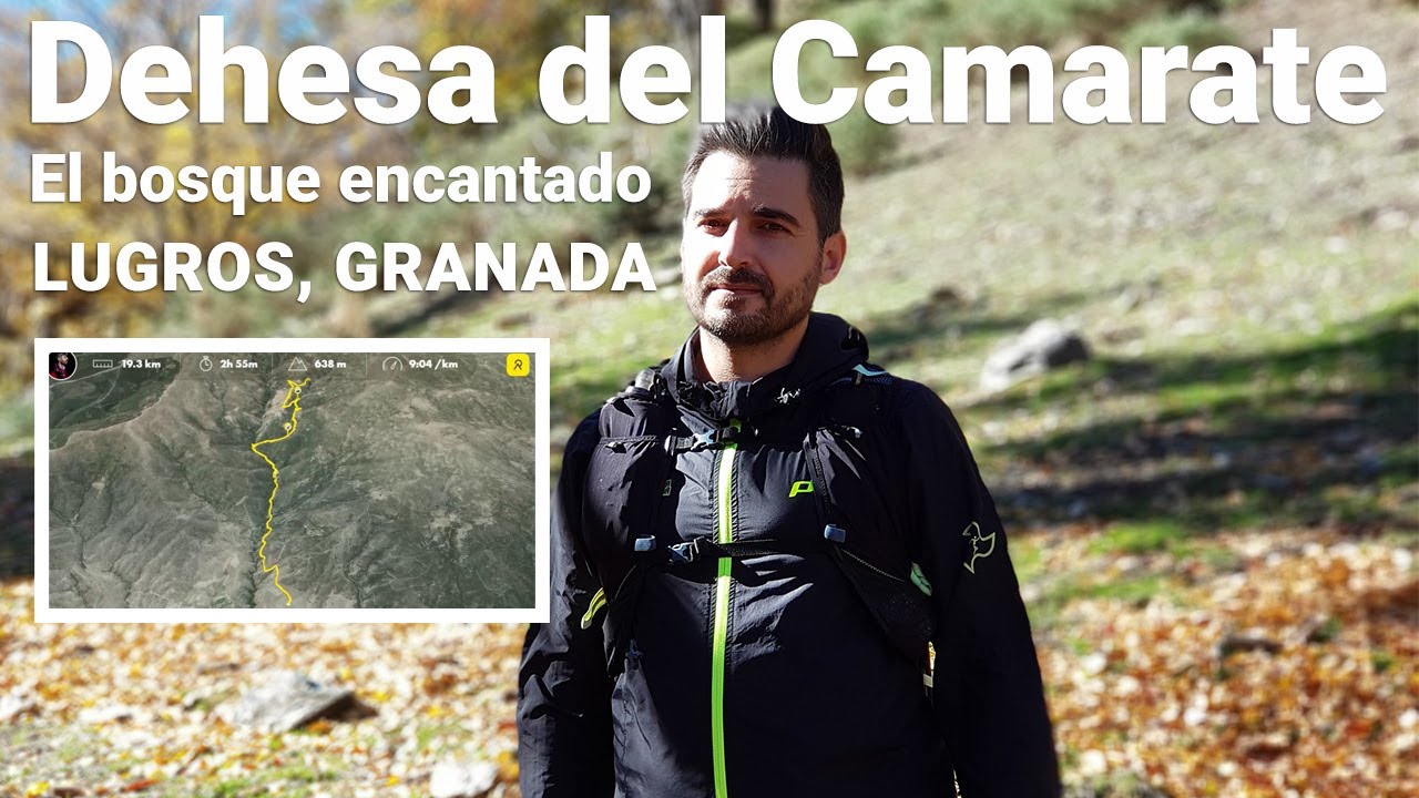 Dehesa del camarate Lugros - Bosque encantado - Estación en Otoño