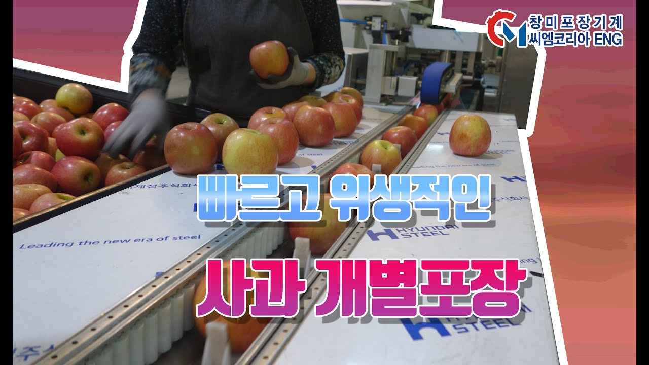 빠르게 사과 포장하는 삼면포장기, 삼면기, 3면기, 삼면포장