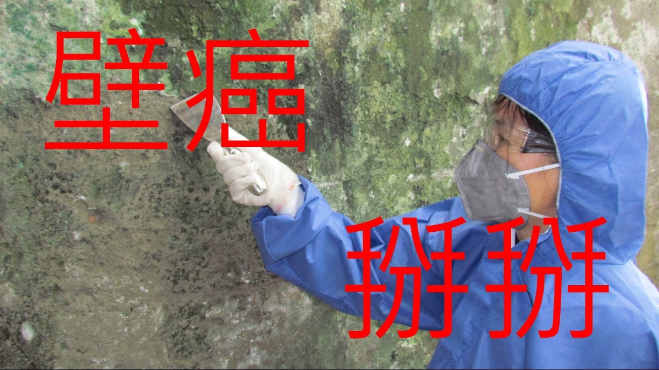 壁癌掰掰-精華版 Wall Mold Block Show-Light