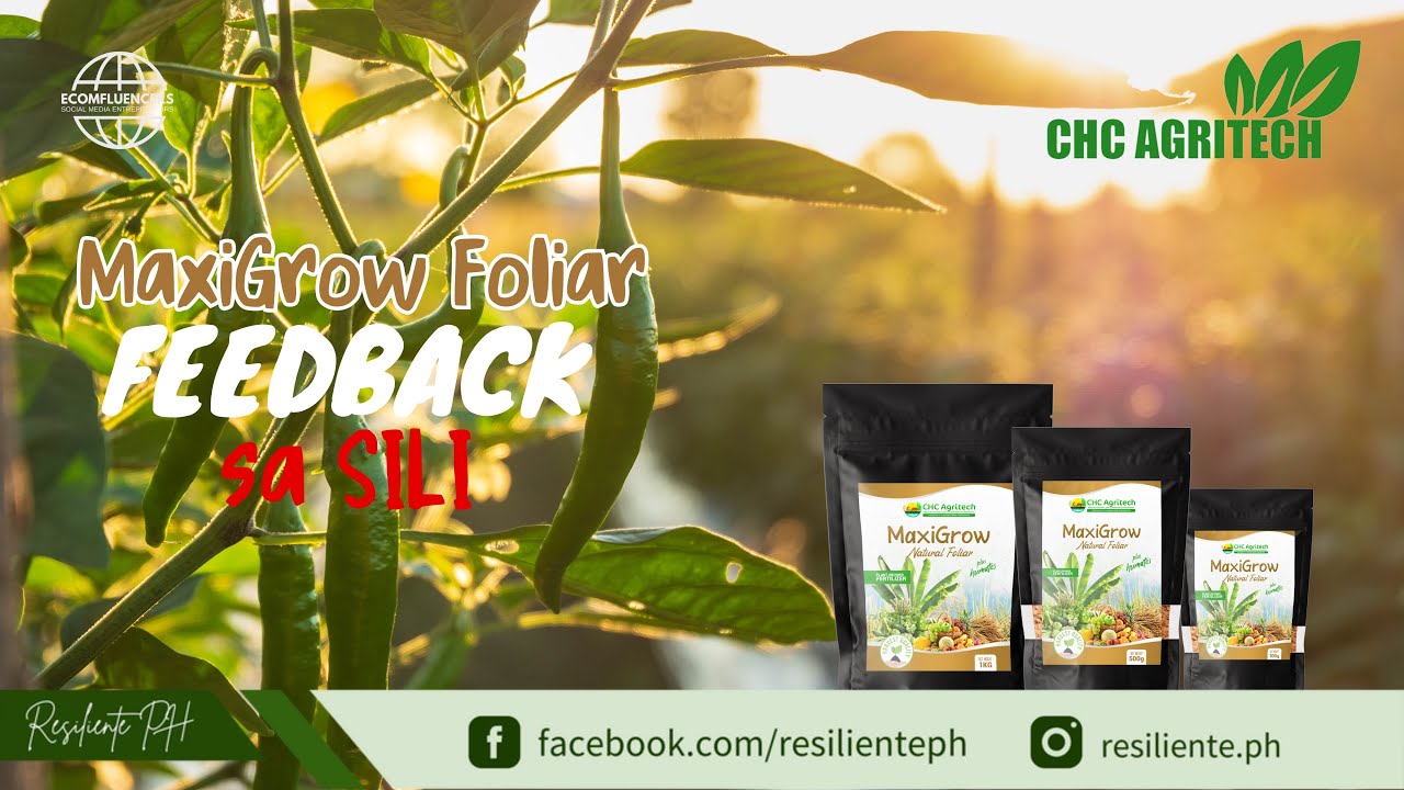 CHC Agritech Maxigrow Organic Foliar Testimonial sa Sili Labuyo