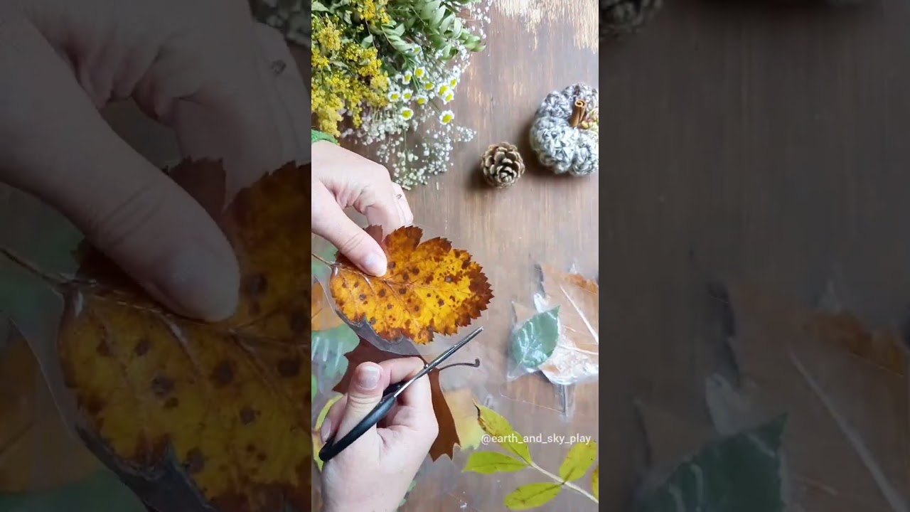 Leaf Window decoration #autumncrafts #windowart #waterplayforkids #leafart #windowdecor #leafcraft