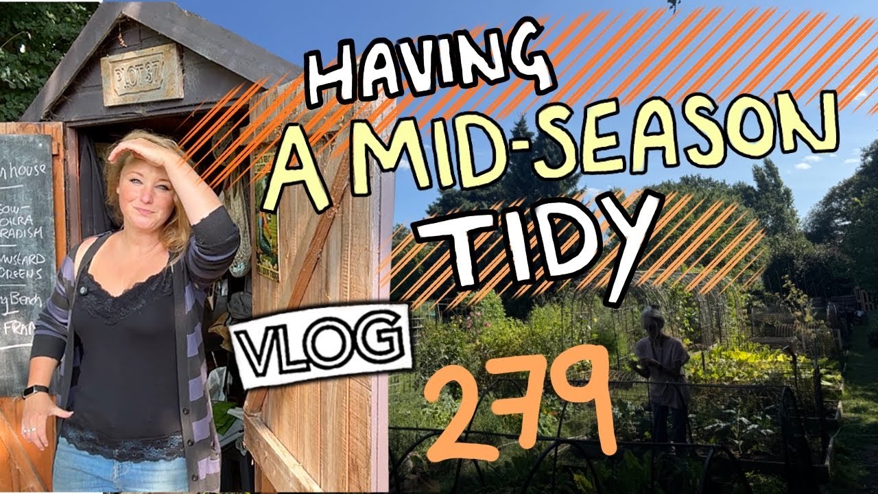 Allotment Tidy Time + More Tomatoes *happy face* .Ep279 || Plot 37