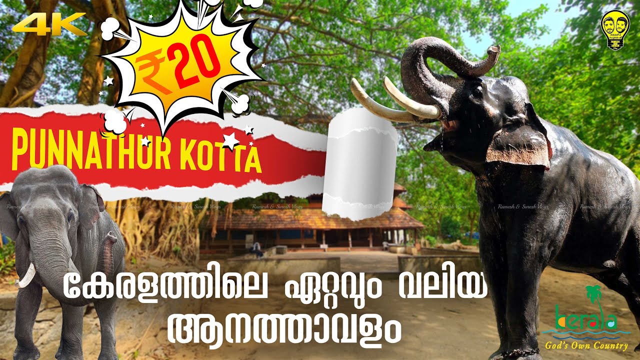 ആനപ്രേമികളുടെ സ്വന്തം പുന്നത്തൂർ കോട്ട Punnathur Kotta Elephant Camp, Kerala | Ramesh & Suresh Vlogs