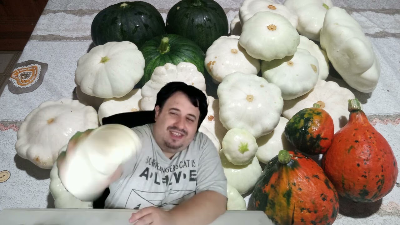 Pattypan o zucchina patisson.