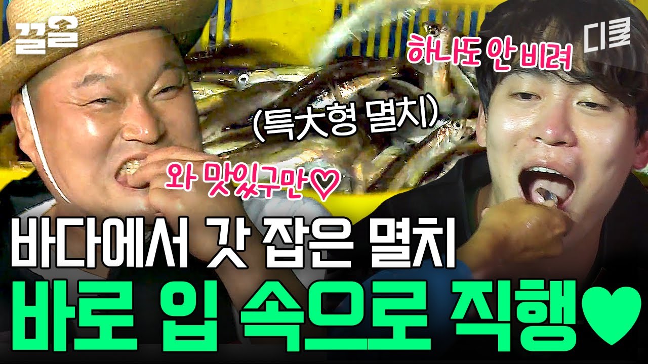 산 멸치가 대체 얼마나 맛있길래?! 맛있는 것만 취급하는 강호동 X 존박이 무시무시한 비주얼도 참고 생으로 씹어 먹게 만드는 무한 매력 ㄷㄷ | 섬총사