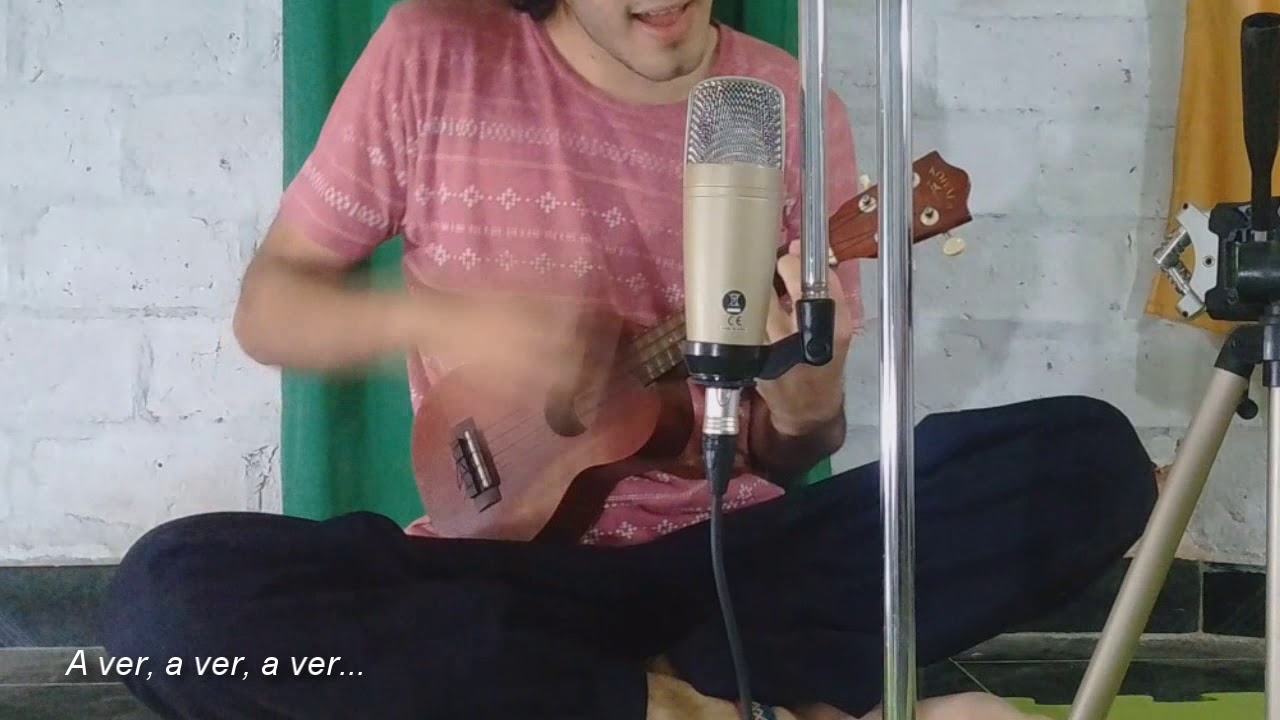 Canci&oacute;n de t&iacute;teres - Mar&iacute;a Elena Walsh (cover ukelele + letra y acordes)