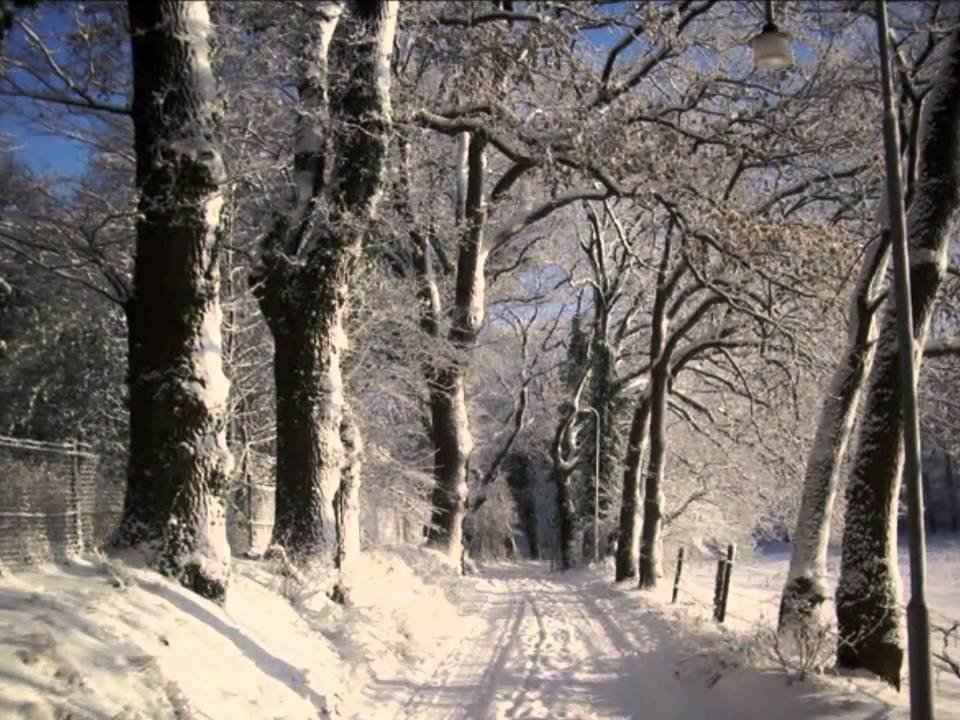 Winter in Bremen-Farge  2010