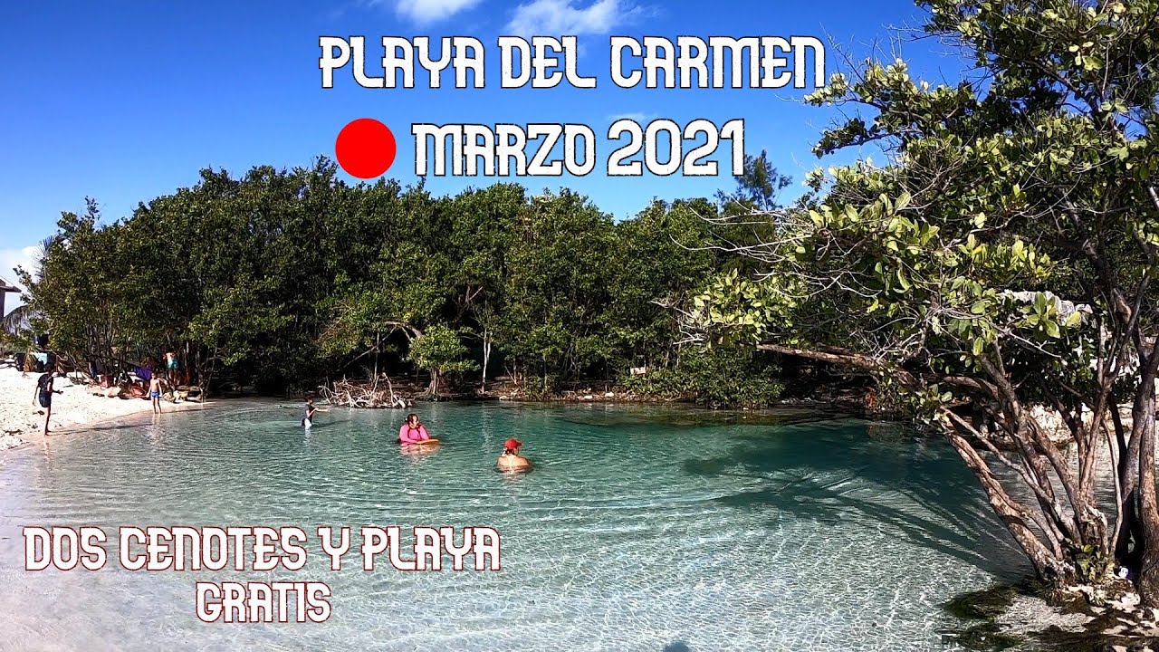 Playa Del Carmen 2 CENOTES Y PLAYA GRATIS | PUNTA ESMERALDA 🌴