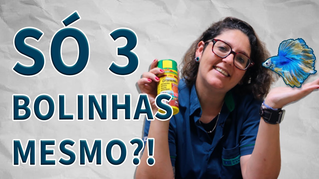 NÃO ALIMENTE SEU BETTA ANTES DE VER ESSE VÍDEO!