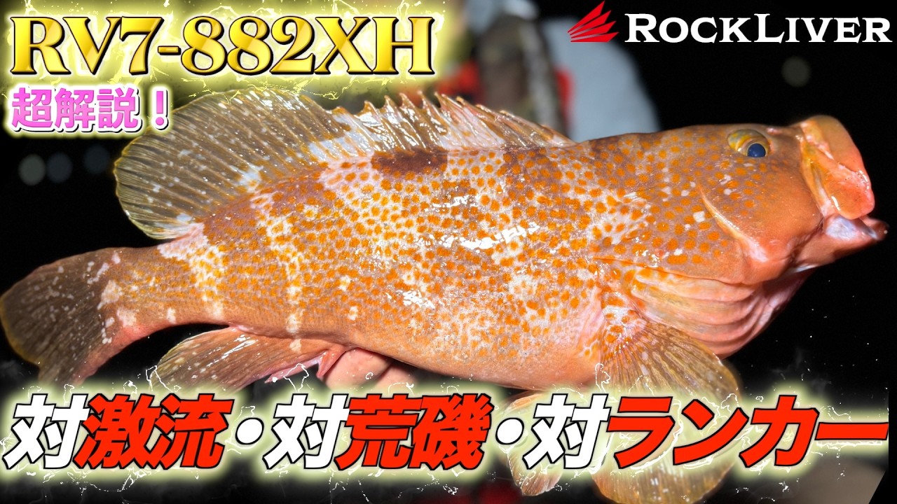 【対激流・対大型】でかハタ特化ベイトモデル」ロックライバー７Ｇ B882XH を土居さんに解説してもらいます！
