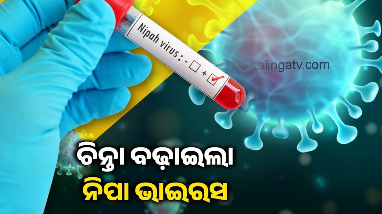Odisha on High Alert After Nipah Virus Sample Detected in West Bengal | Kalinga TV 