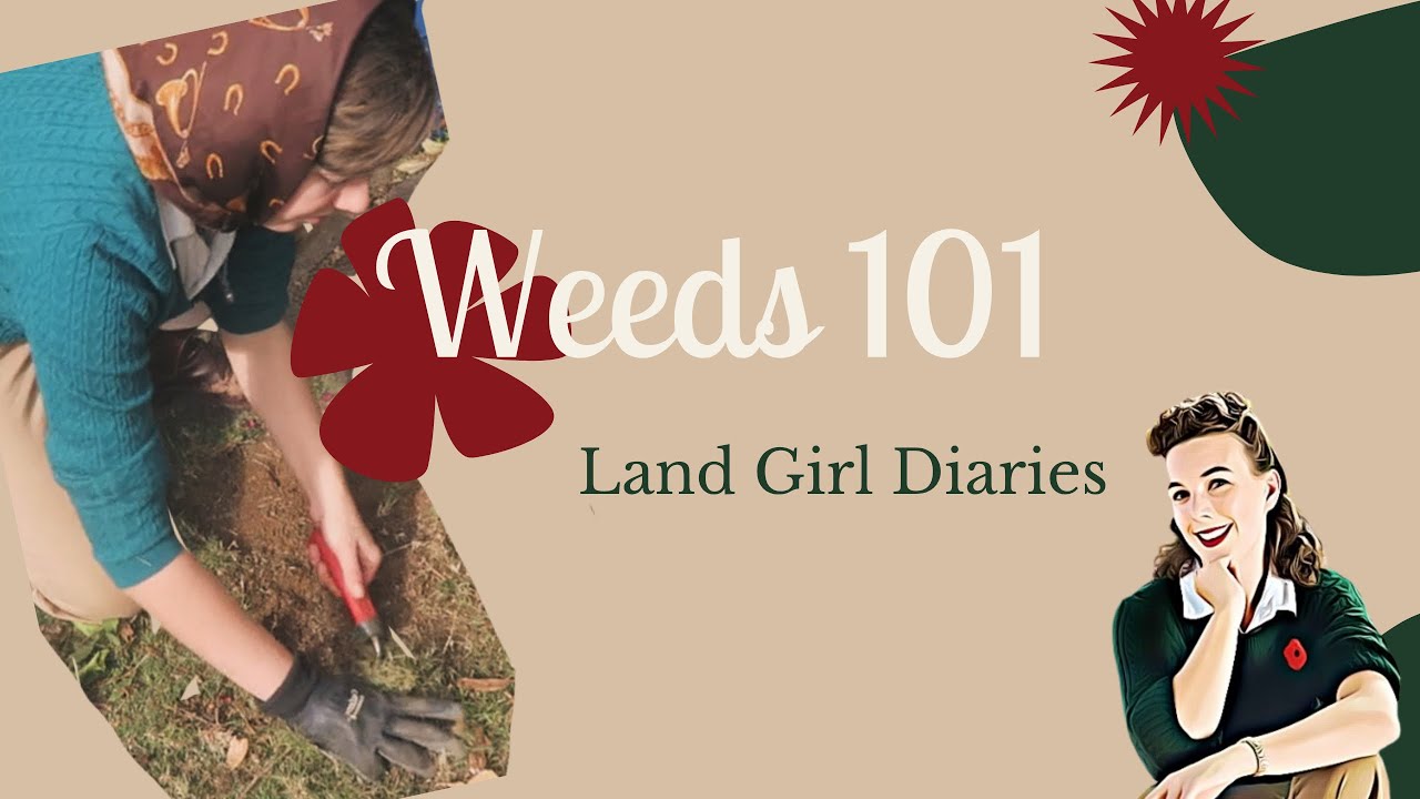 Land Girl Diaries: Weeds 101