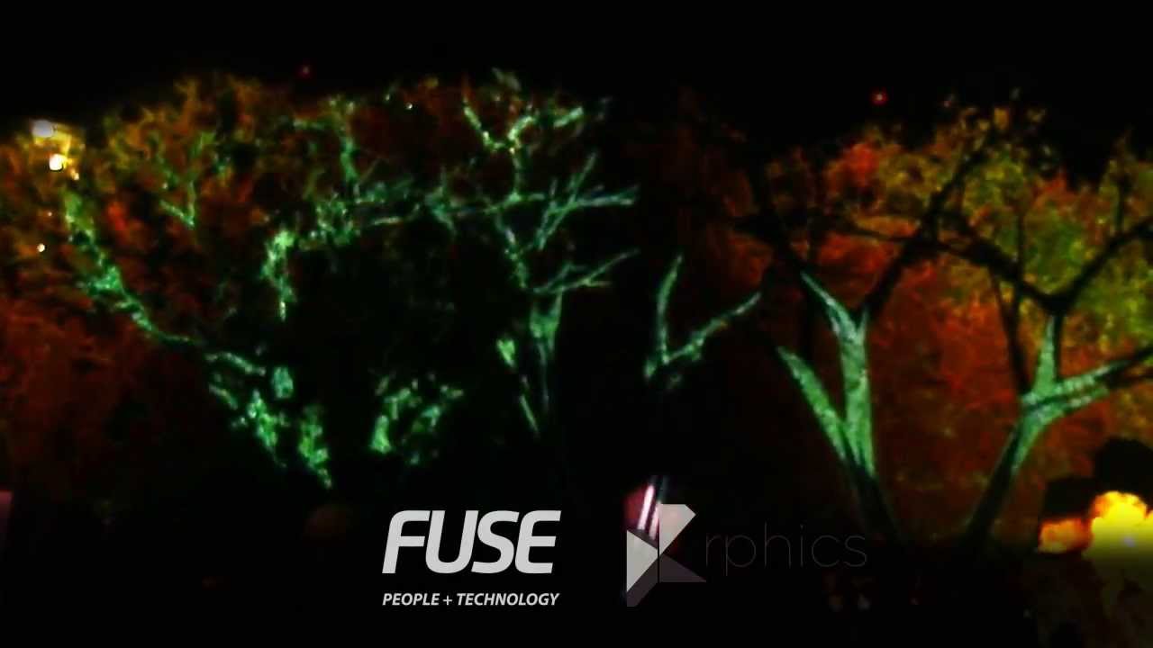 Projection Mapping Trees - ProNatura Food N Wine 2013 @ Arboleda