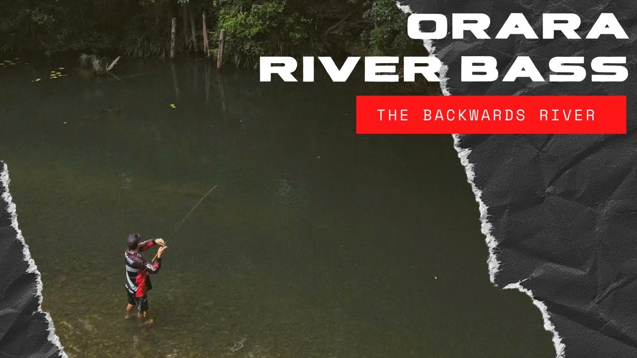 Backwards River Bass! Exploring the Orara’s Unique Flow & Fish