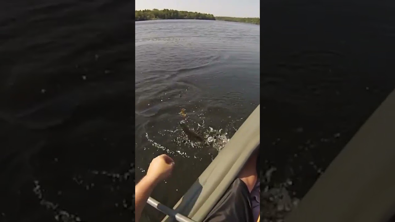 How to Catch More Fish with a Hook! 🎣 River Fishing Tips You Need 🌊🐟