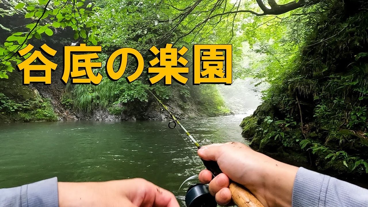 【渓流ルアー】谷底の新規開拓。最後に現れた神とは、、、