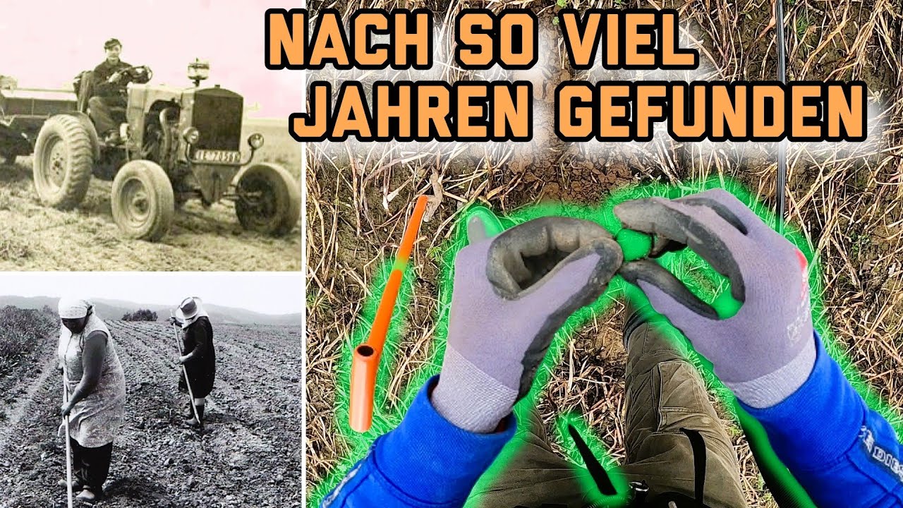 Früher Siedlungsplatz - Heute Ackerland | Sondeln, spannende Funde und eine Wildsau auf dem Feld!