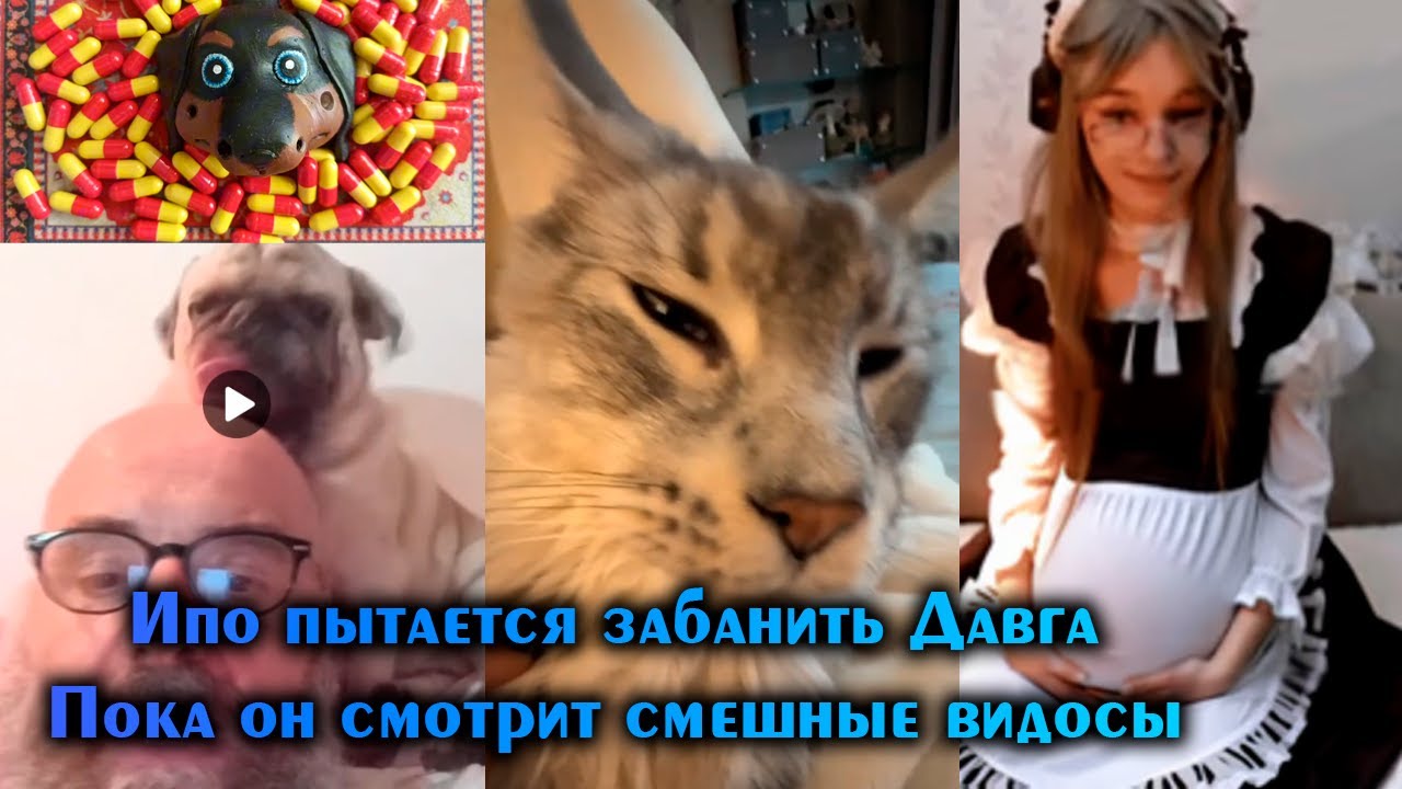 Ипо пытается забанить стрим 58 минут 14 секунд - Давг и ко