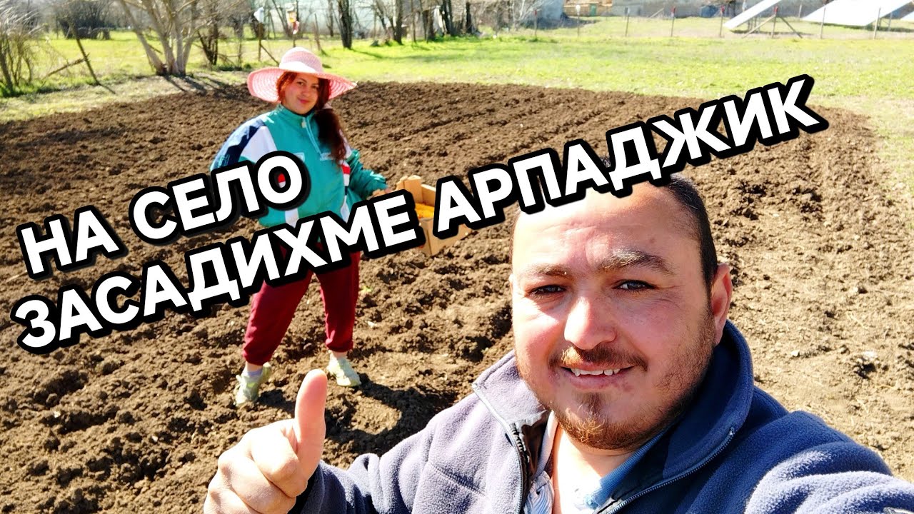Засадихме арпаджик| НАМЕРИХМЕ ОБЕСЕНА КОЗА #funny #lifeisbutadream #animals #automobile #puppy