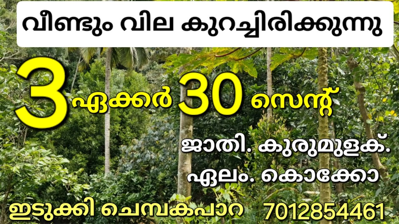 കുറഞ്ഞ ബഡ്‌ജറ്റിൽ ഒരു സ്ഥലം കൂടി. 3ഏക്കർ 30സെന്റ്. ജാതി കുരുമുളക് ഏലം കൊക്കോ ഇടുക്കി ചെമ്പകപാറ 👇👇