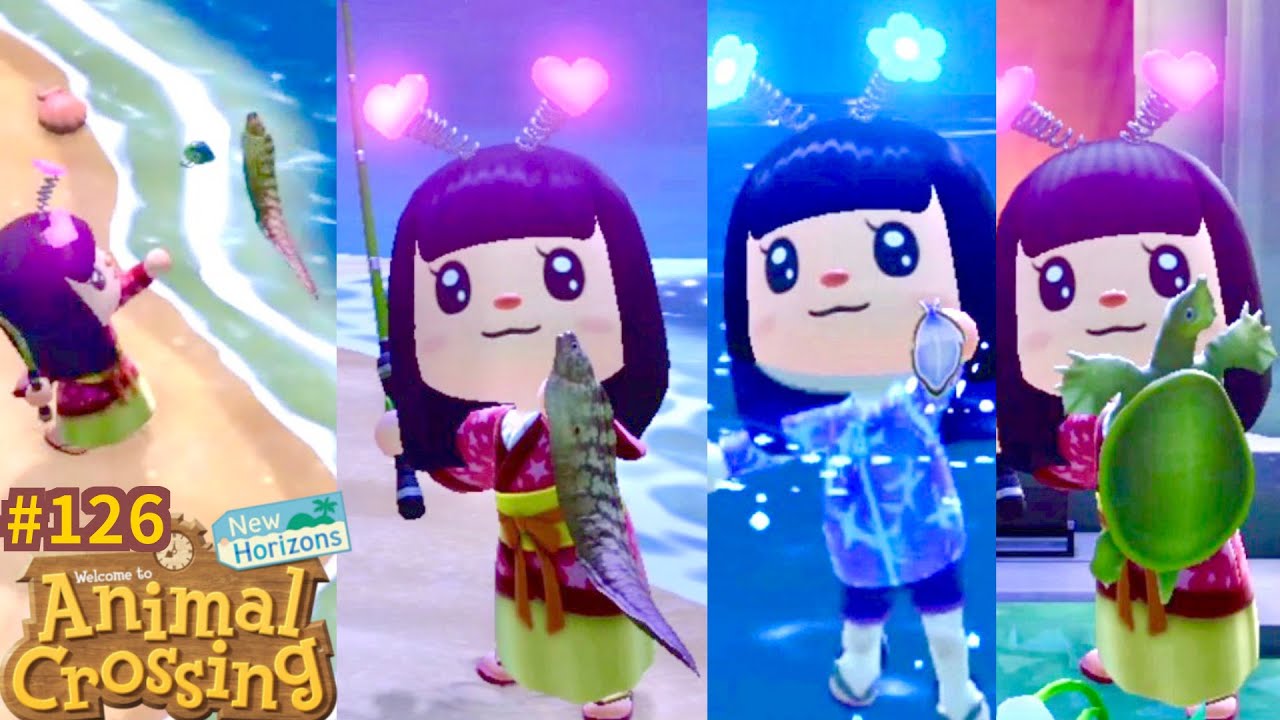 Nouveaux Poissons Août 🐠 Murène Tortue trionyx 🐢 Ver plat 🐛 Animal Crossing New Horizons #126