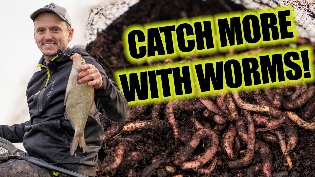 This bait WILL catch you more fish! | The ultimate guide to fishing with WORMS!