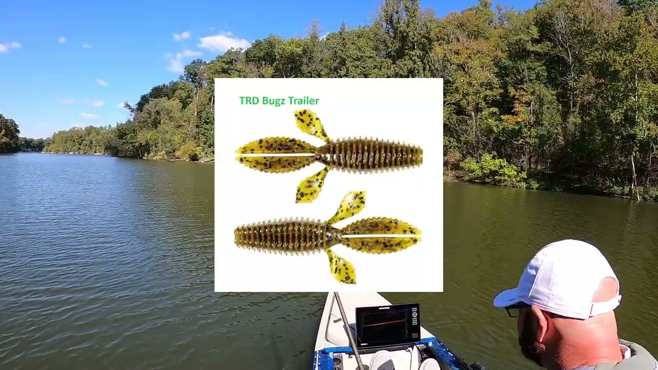 Fall Bass Fishing with Forward Facing Sonar! Nolin Lake October Jig Bite!