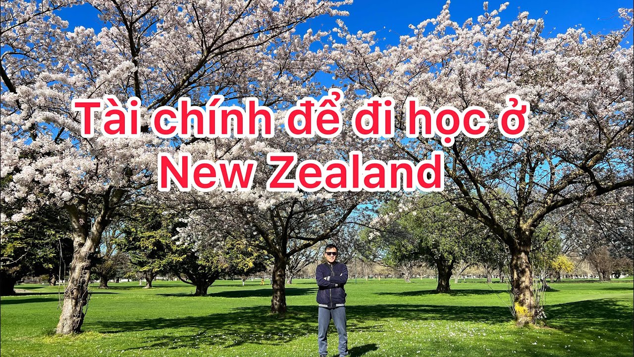 Chứng minh tài chính đi học ở New Zealand. #newzealand #lifeinnewzealand #newplymouth