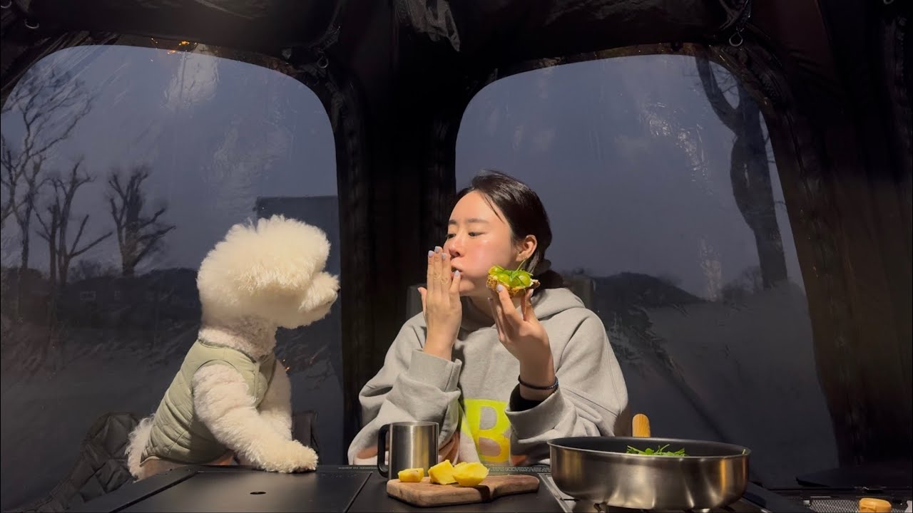 캠핑 vlog | 추운 겨울 강아지와 돔텐트 안에서 오붓하게 광어회 두쫀쿠 먹방 