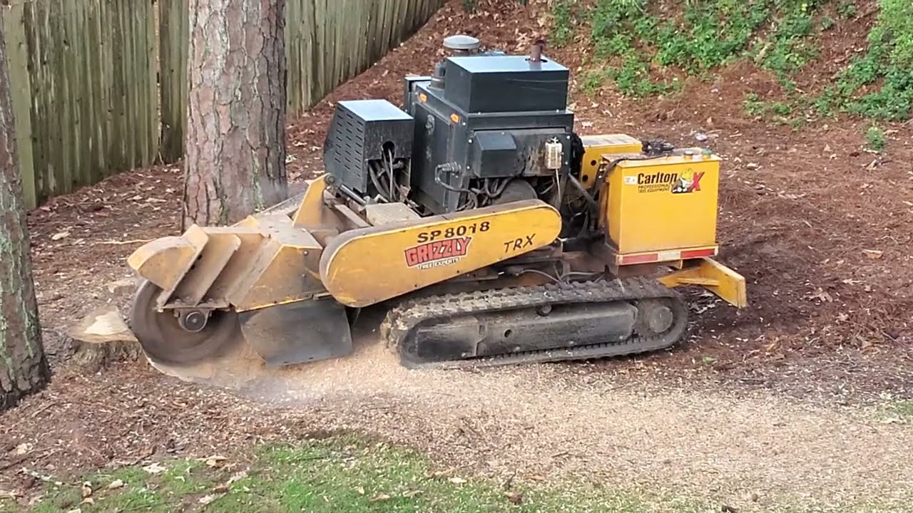 Remote Control Tree Stump Grinder - Carlton SP8018 TRX - Grinding Away Wood Chips - Satisfying ASMR