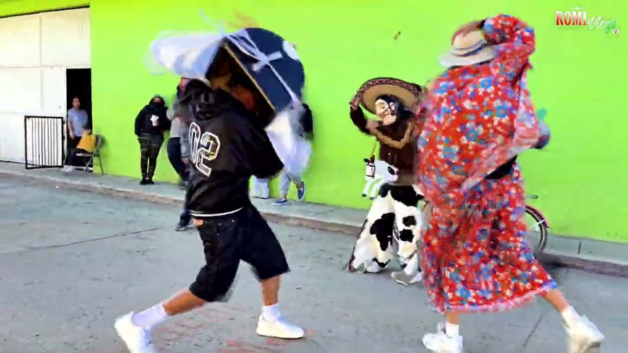 Torito 