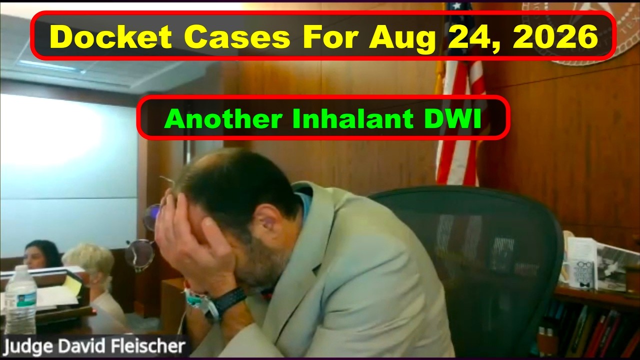 Judge Fleischer's Criminal Court Docket August 24th, 2026 - Vikky's Court Watch
