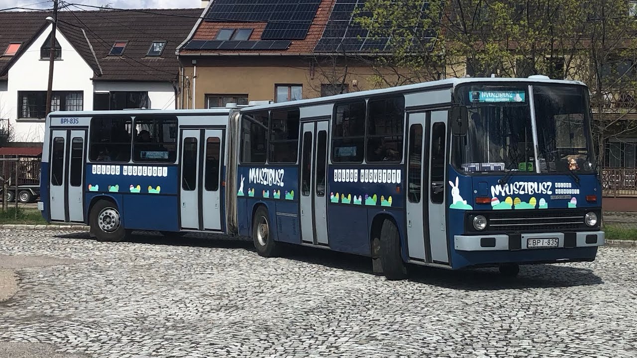 2024.03.28. Ikarus 280.49.(Nyuszi Busz) K.