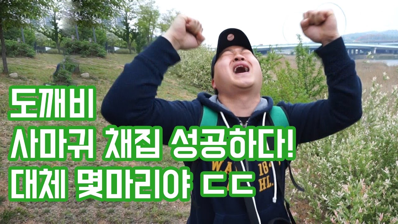 사마귀1000마리 들어있는 사마귀 알을 채집해보자!(이틀간의채집기)-블랙리스트 도깨비