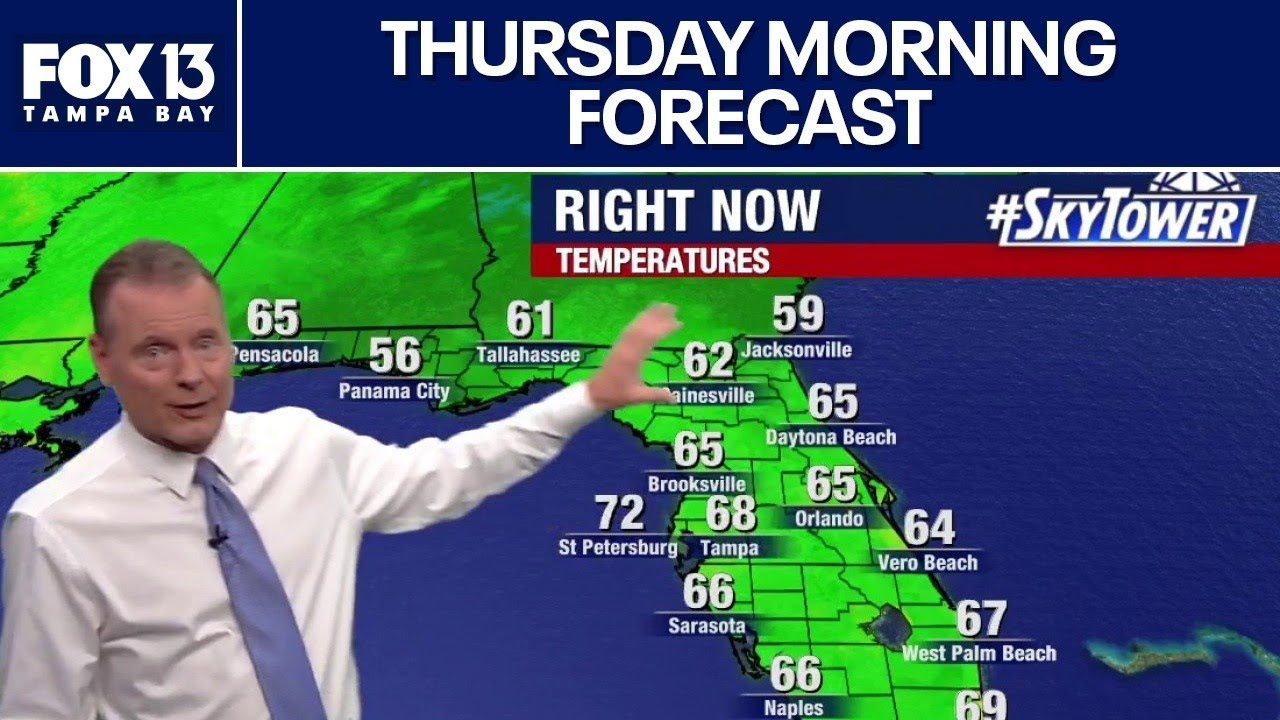 Погода в Тампе | Прогноз на утро четверга
