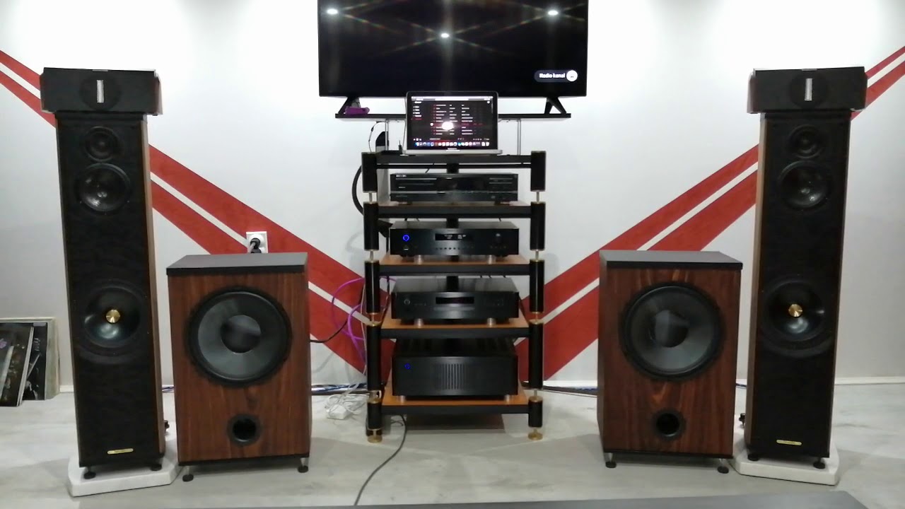 Verita Woofer & RAAL RIBBON & SONUS FABER LIUTO