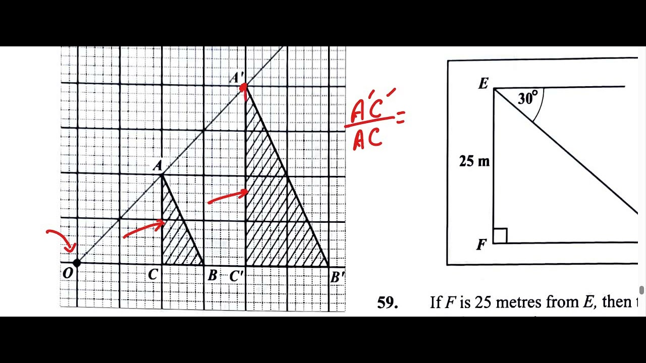 Question 58 | CXC CSEC June 2024 Multiple Choice SOLUTION