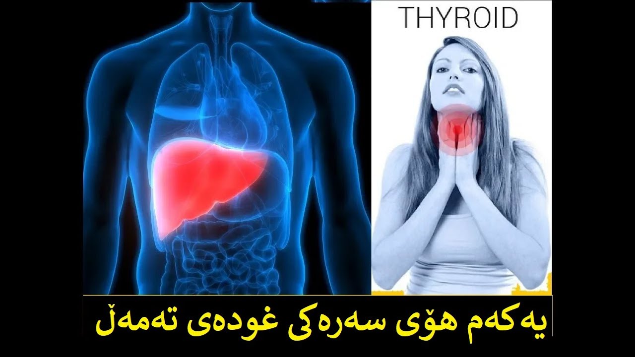 يه كه م هوَى سه ره كى غدة ى ته مه لَ