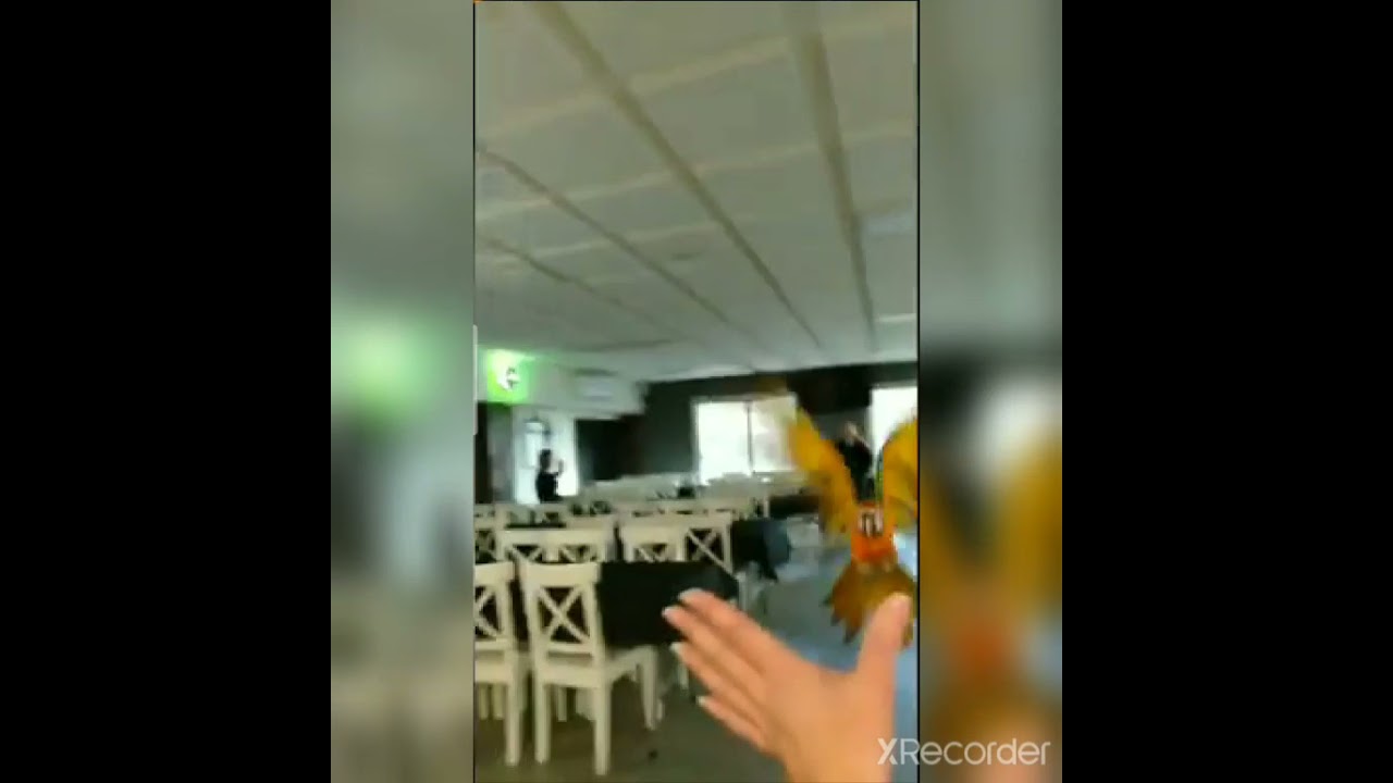 Bella🌈 en los típicos 🍹🌴Restaurantes Brasas🥩 Mediterránea, calçotadas🥬  Mariscadas🦐 Font de l'Alzina