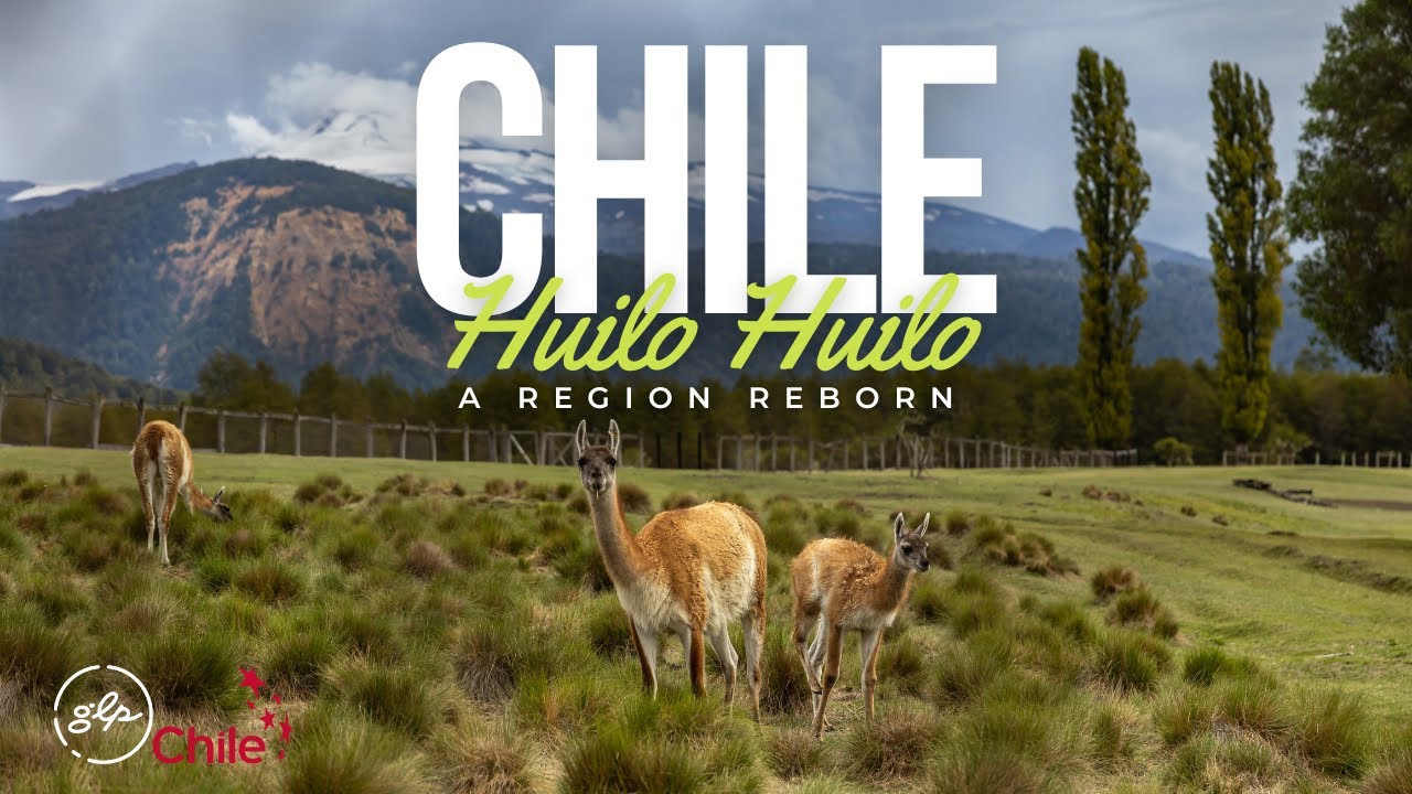 From Logging Towns to Eco Paradise  | The Transformation of Huilo Huilo, Chile