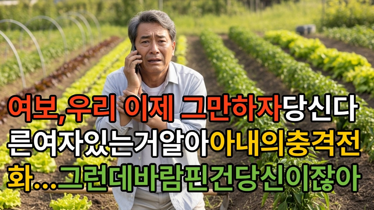 여보,우리 이제 그만하자던 아내, 알고보니 바람난건 아내였습니다/누명쓰고 쫓겨난  남편의 이야기