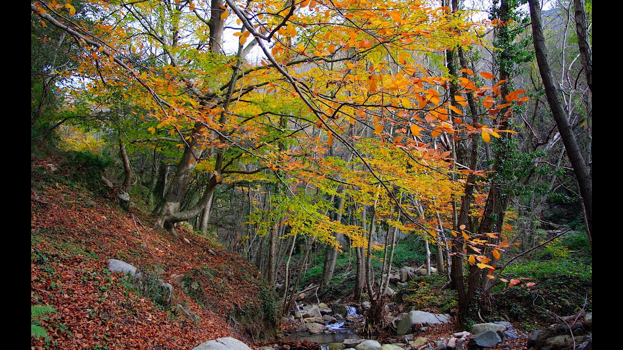 Ruta 4x4 por el corazón del Montseny
