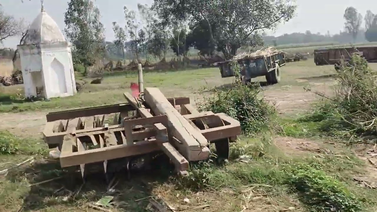 बहुत ही खूबसूरत फूल