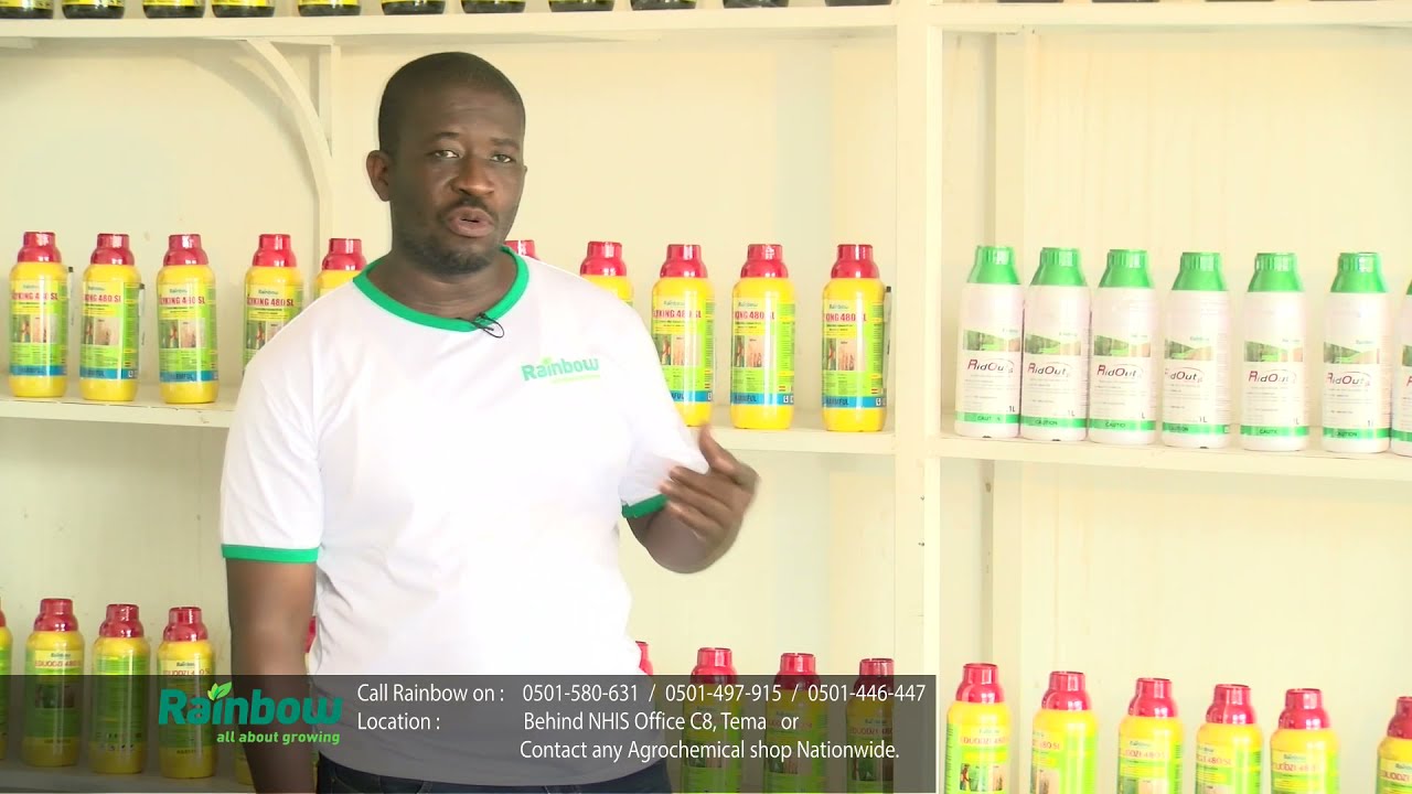 Rainbow  Agrochemicals Testimonial by Mr Ameyibor Greenshield Agro Chemicals Hohoe
