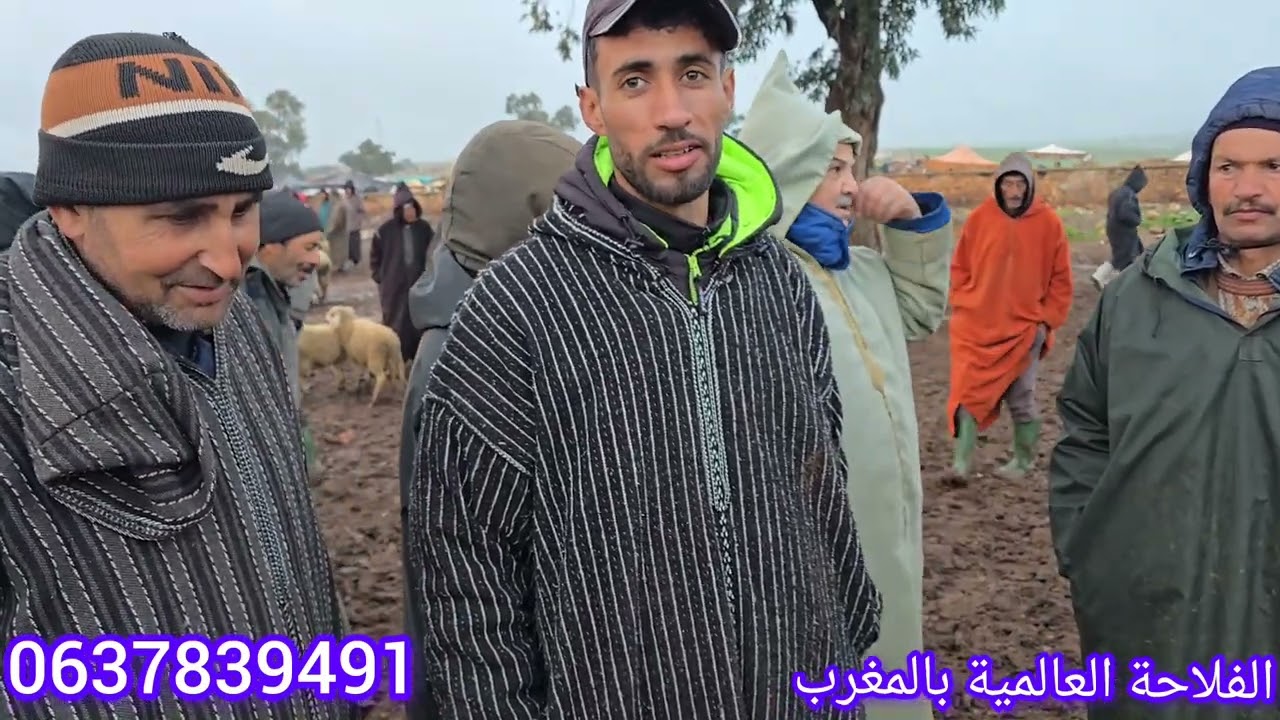 مباشرة من سوق الخميس سيدي حجاج أولاد مراح بتاريخ اليوم  5 مارس 2026
