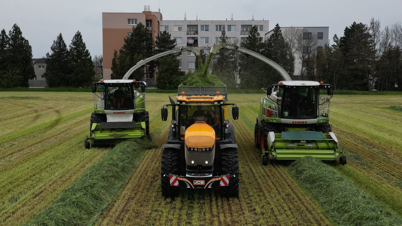 SENÁŽE RAŽE I RYE SILAGE I ROZS SILOZÁS I KISZONKA Z ŻYTAI 2023